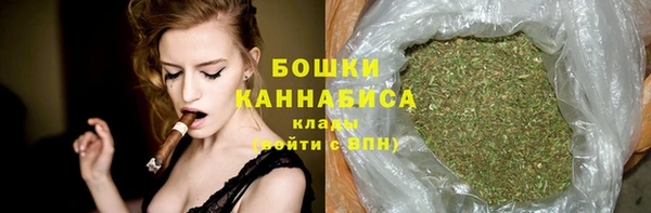 стафф Каменногорск