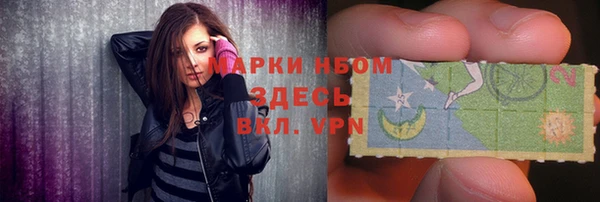 стафф Каменногорск