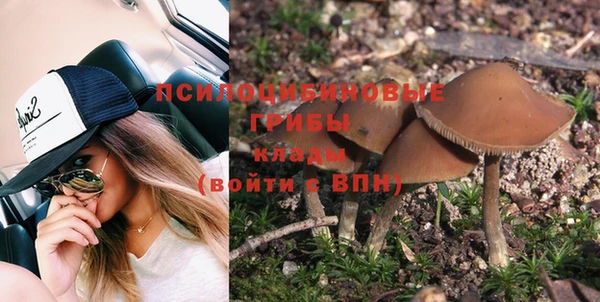 стафф Каменногорск
