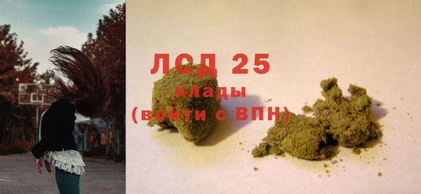 стафф Каменногорск