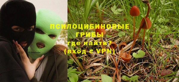 герыч Каменка
